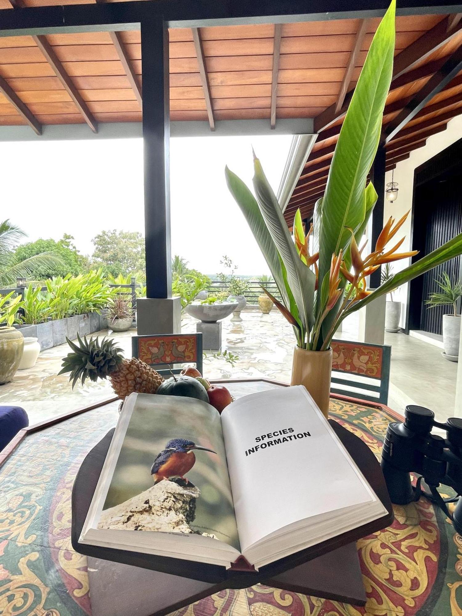 D' Art Villa Retreat And Spa Tangalle Exterior photo